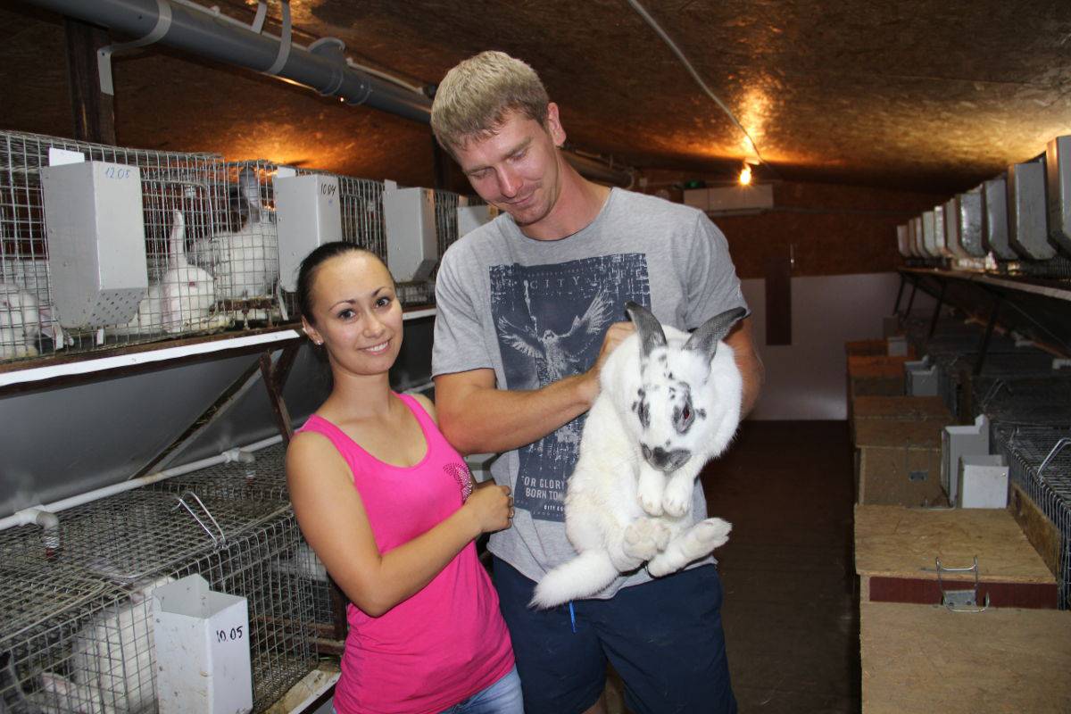 Житель хутора Протички Иван Сергеев построил для кроликов дом со всеми удобствами