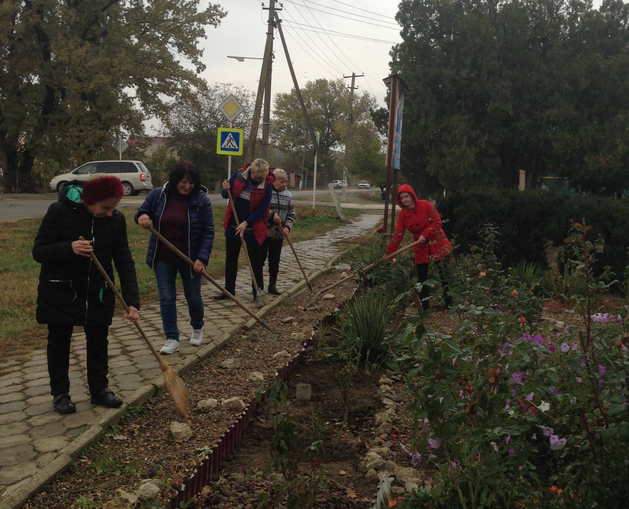 На центральных клумбах хутора Протички высажены 25 кустов роз