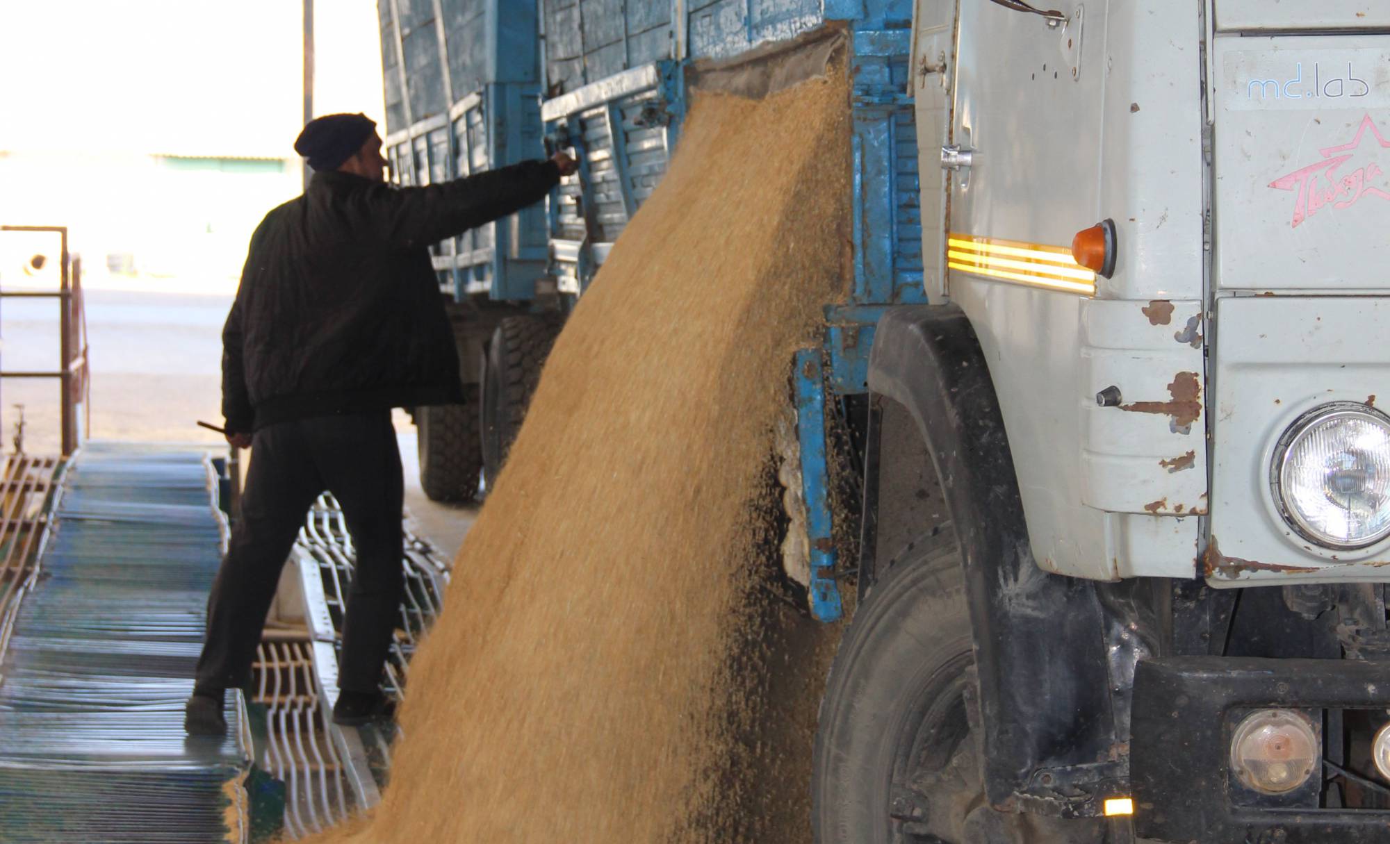 На ОАО «Ангелинский элеватор» уже реализуется рис нового урожая