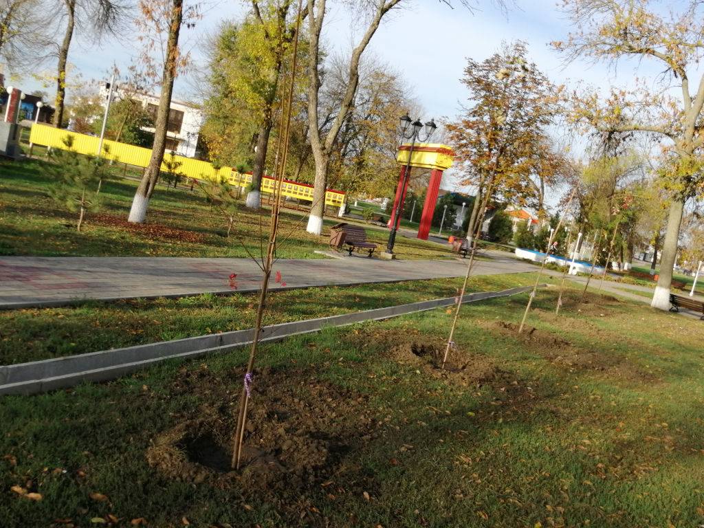 В парке станицы Полтавской появилась комсомольская аллея