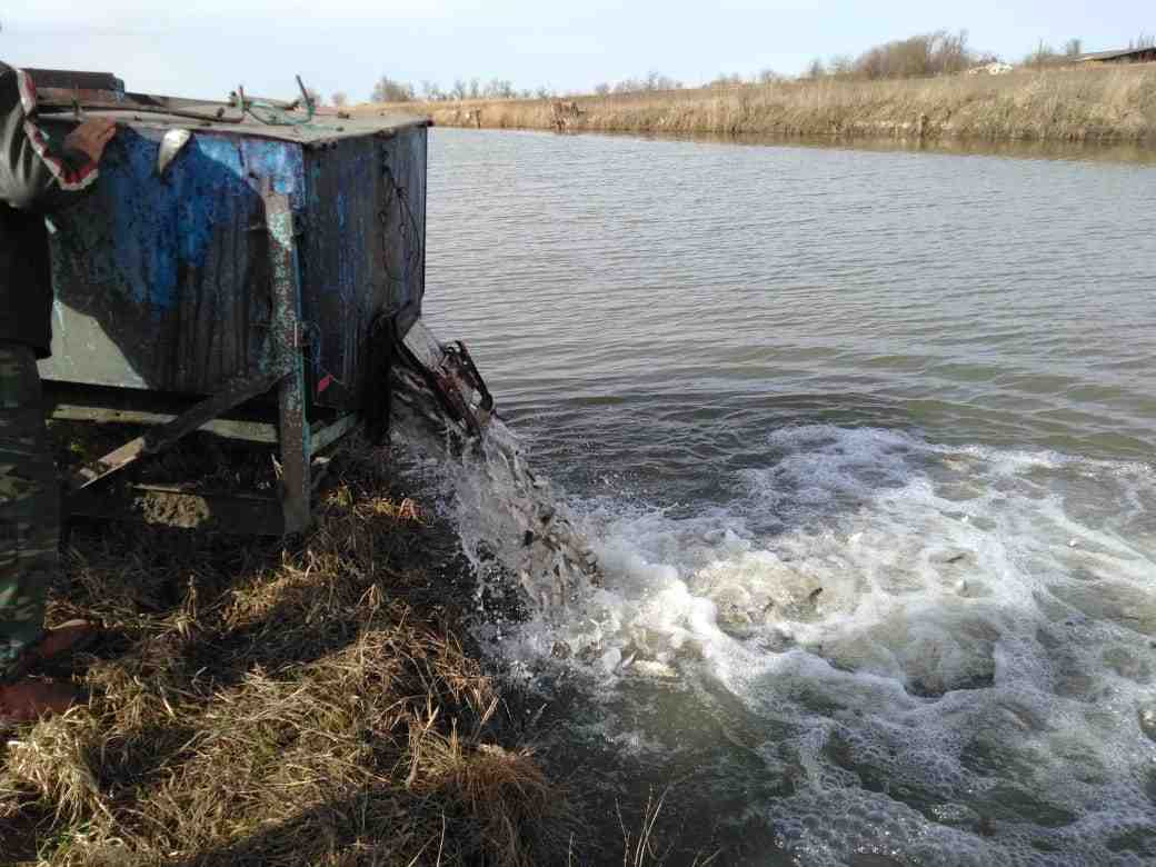 Молодые депутаты взялись за очистку Полтавского ерика в поселке Октябрьском