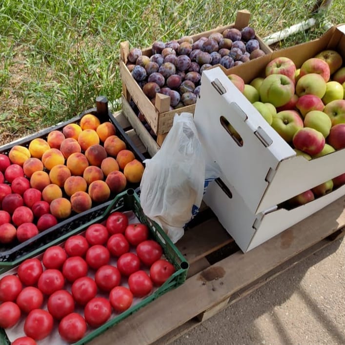 Медиков и пациентов инфекционного госпиталя Красноармейской ЦРБ угостили фруктами и ягодами