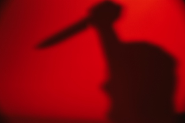 Житель Славянского района убил сожительницу и малолетнего сына