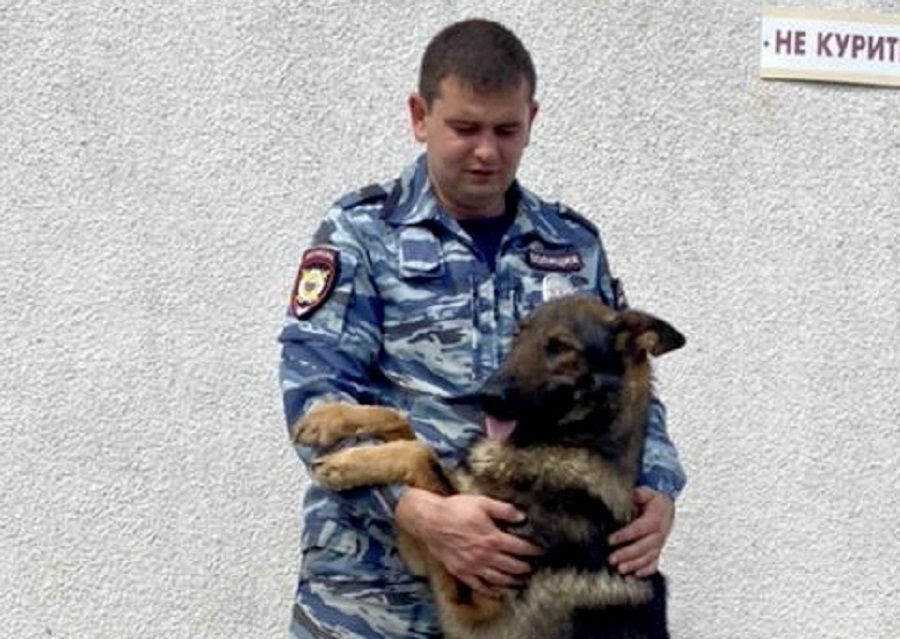 В Приморско-Ахтарском районе служебный пес помог найти потерявшуюся школьницу