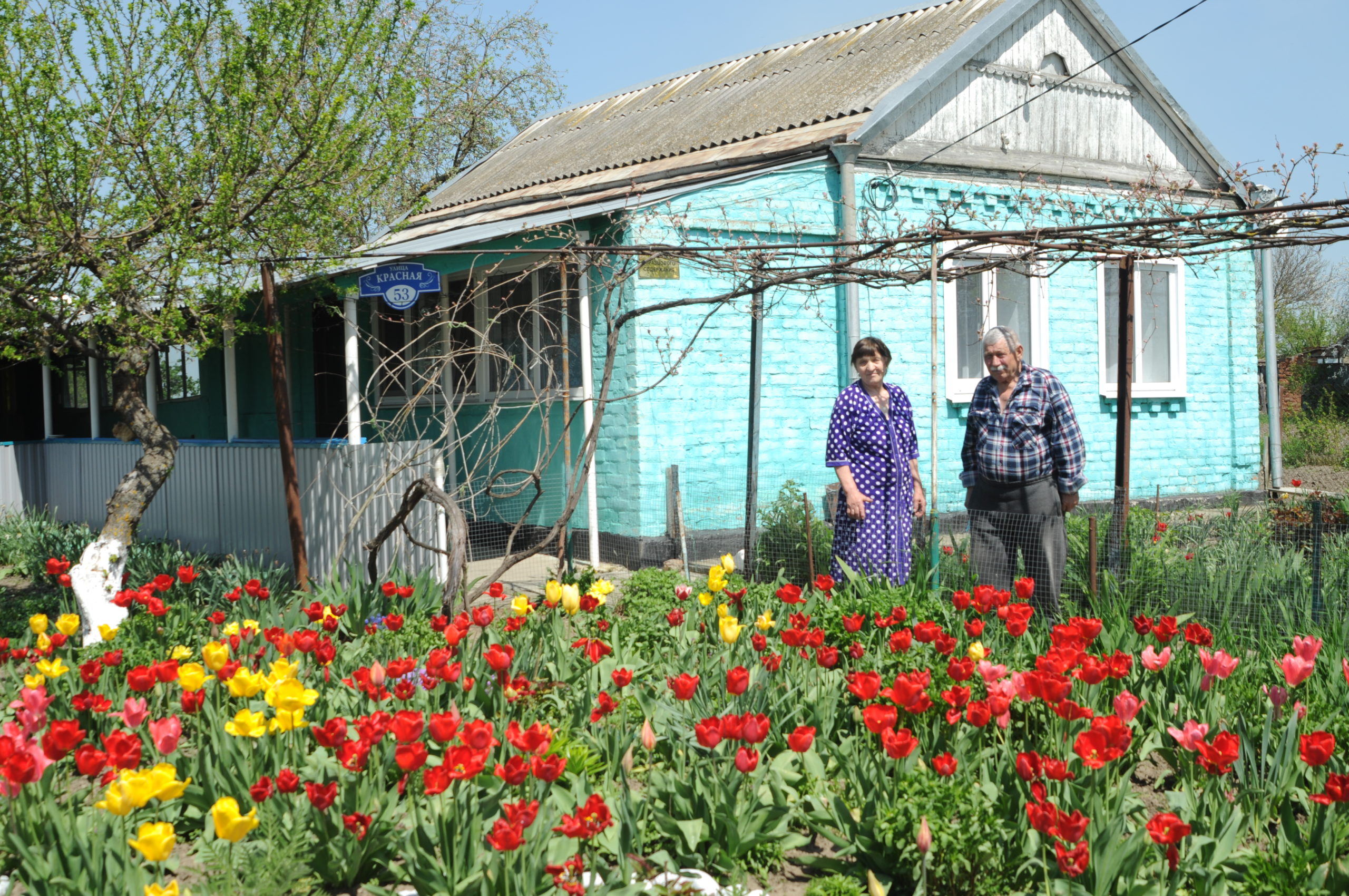 Красотой во дворе супругов Бойко любуется вся станица Староджерелиевская