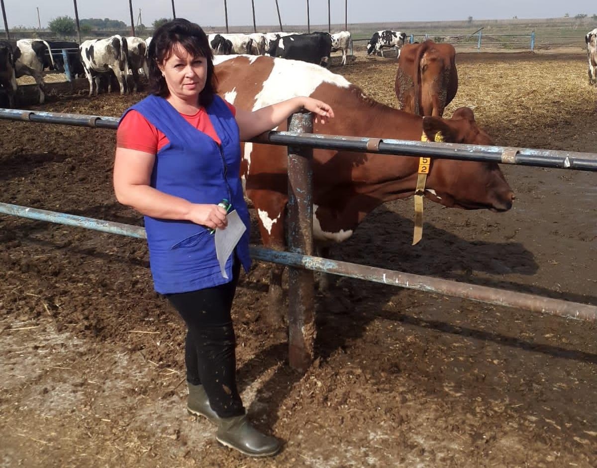 Специалист СХП имени П.П.Лукьяненко Елена Бойко вошла в пятерку лучших на Кубани