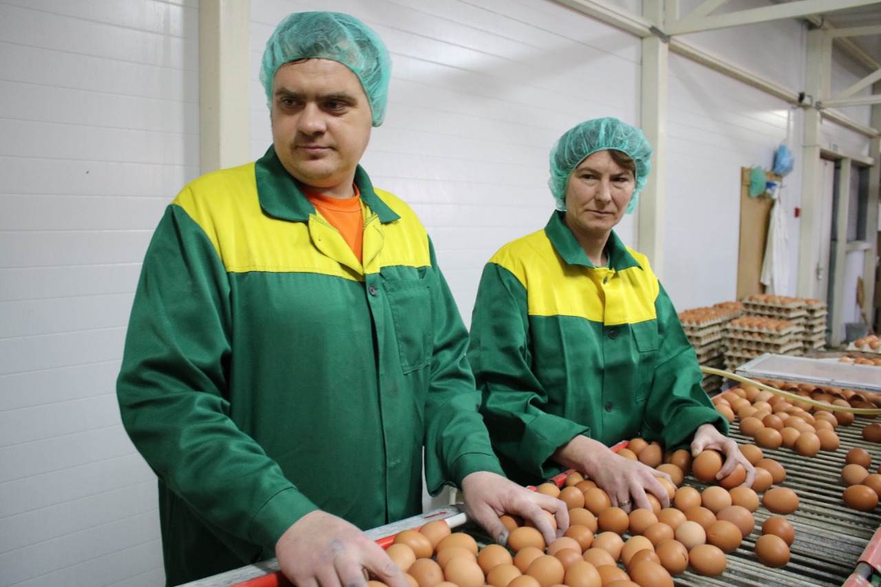 Новомышастовская птицефабрика скопила больше двух миллионов налоговых обязательств