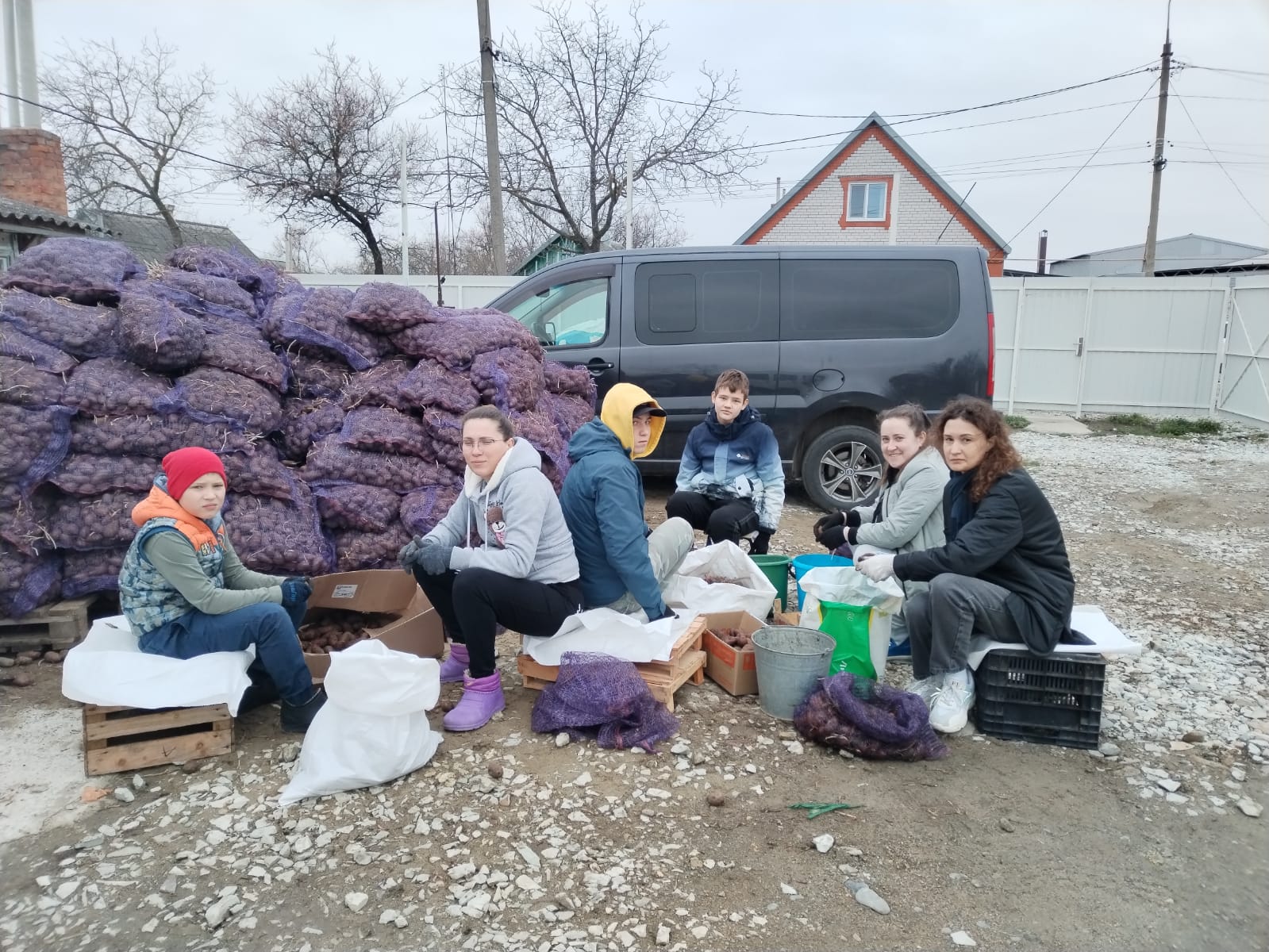Группа полтавчан за два дня перебрала несколько тонн картофеля