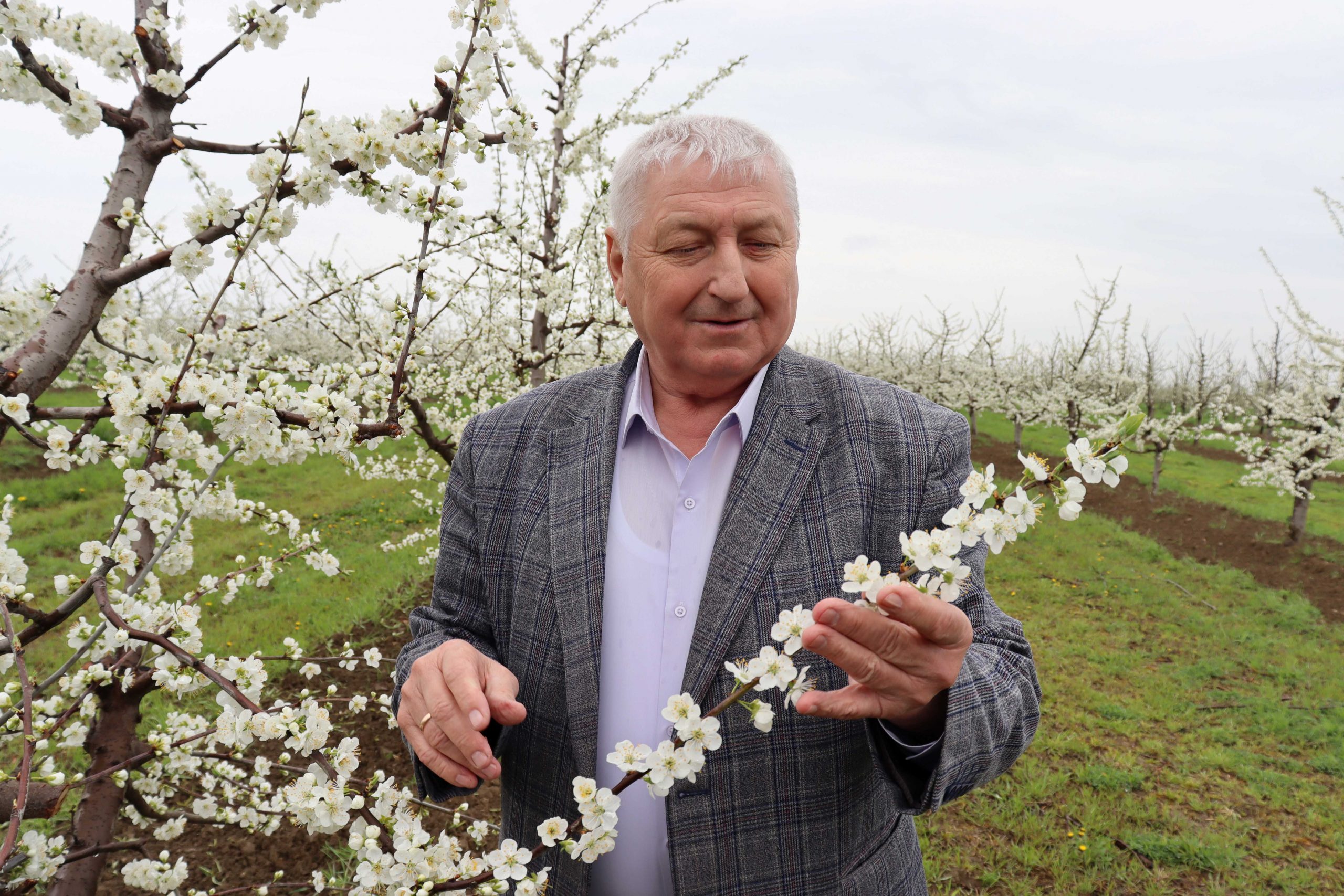 За два года господдержка одного из КФХ Красноармейского района составила 13,3 миллиона рублей