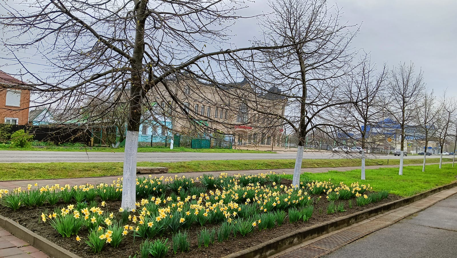 Синоптики прогнозируют: первый рабочий день недели на Кубани будет теплым