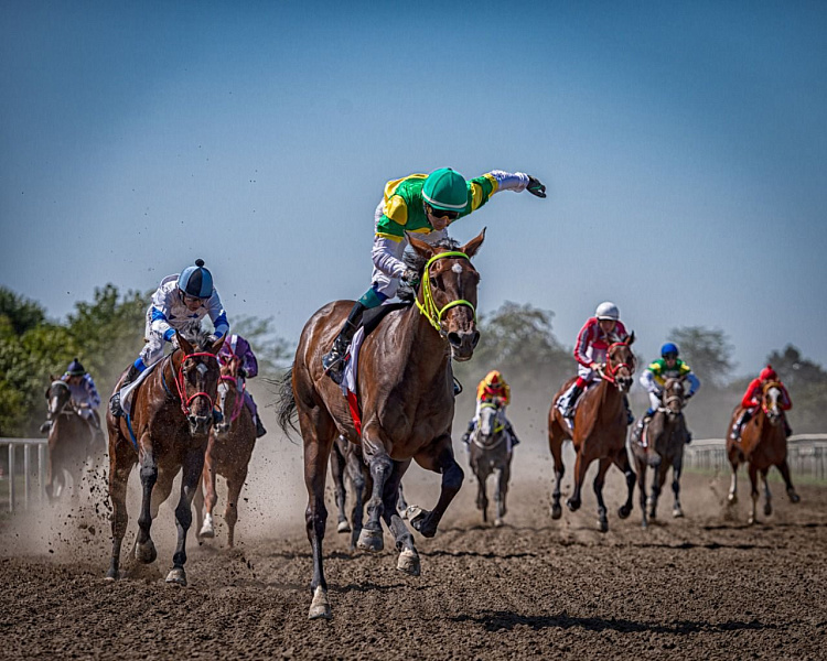 На Кубани 13 мая откроется скаковой сезон