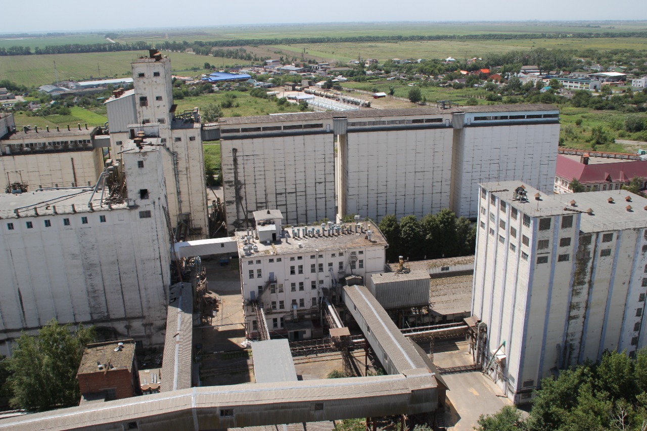 К началу уборки риса на Полтавском и Ангелинском элеваторах установят новые лифты