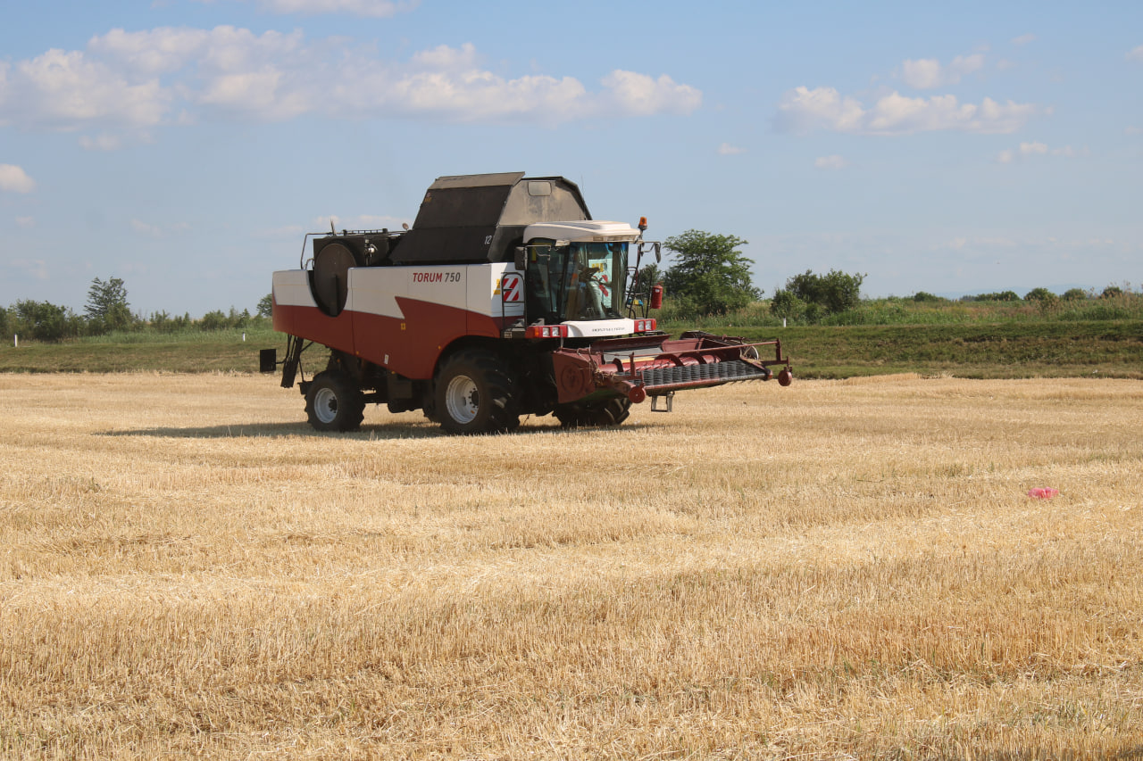 Из-за обильных осадков в Красноармейском районе притормозила уборочная кампания