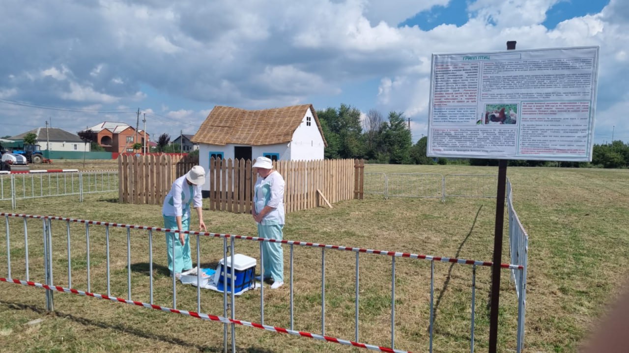 В Красноармейском районе вспышки птичьего гриппа не ожидается