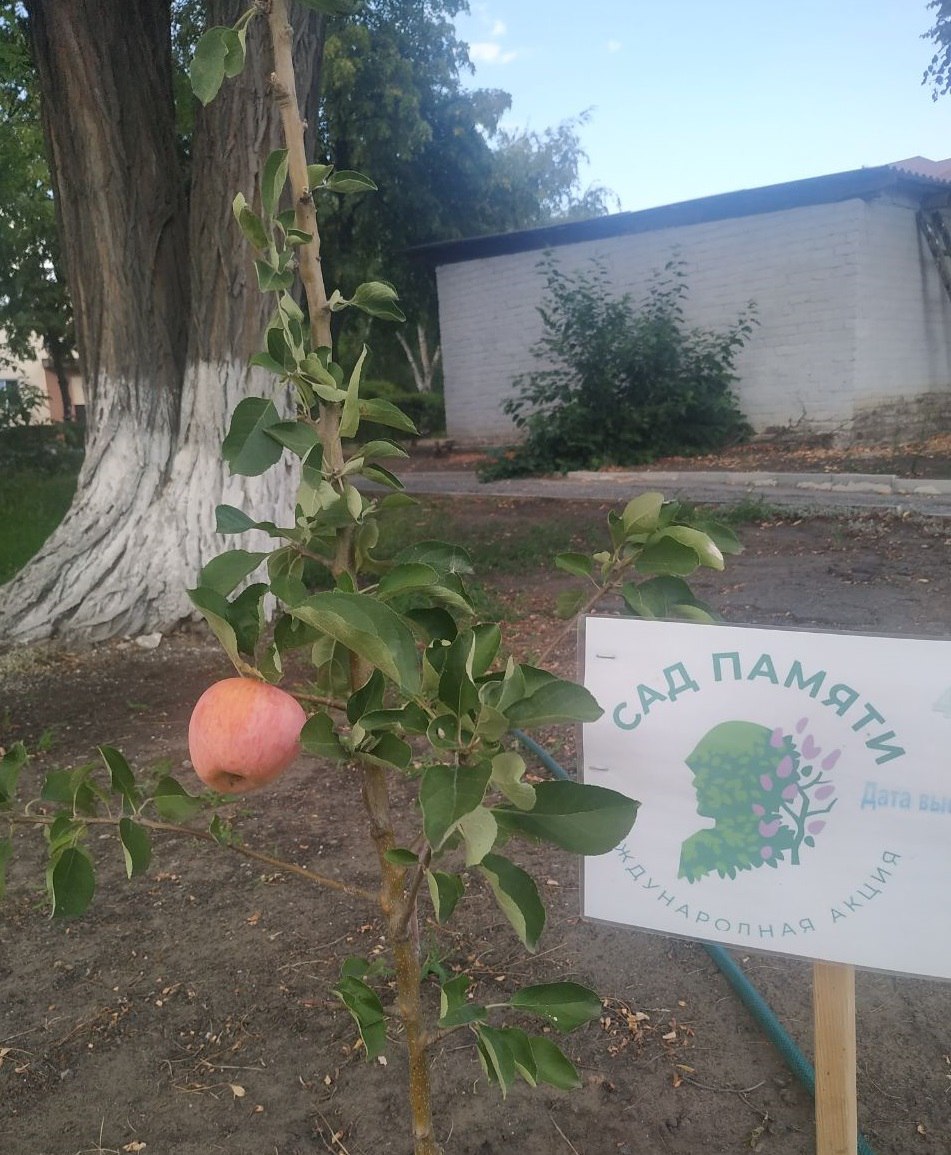 К озеленению ЛНР присоединяются новые жители Красноармейского района