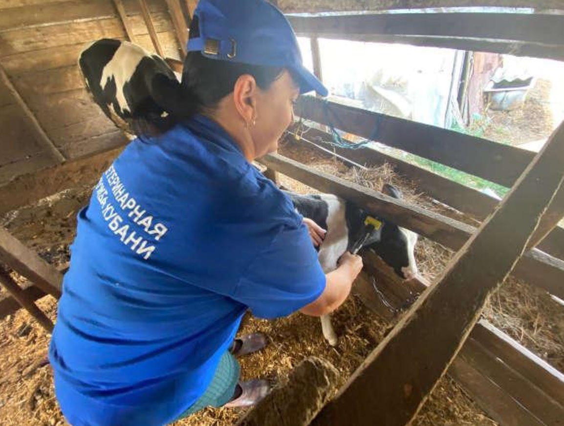 Сотрудников и ветеранов ветеринарной службы Красноармейского района поздравили с праздником