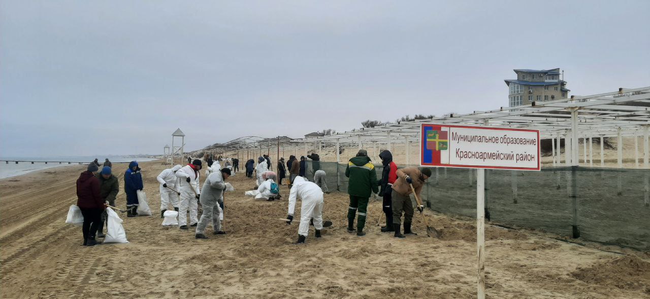 Сегодня 56 человек из Красноармейского района убирали мазут на побережье в Анапе