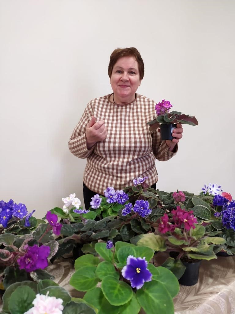 Людмила Шашунина из станицы Полтавской считает, что фиалка не жалует подоконники