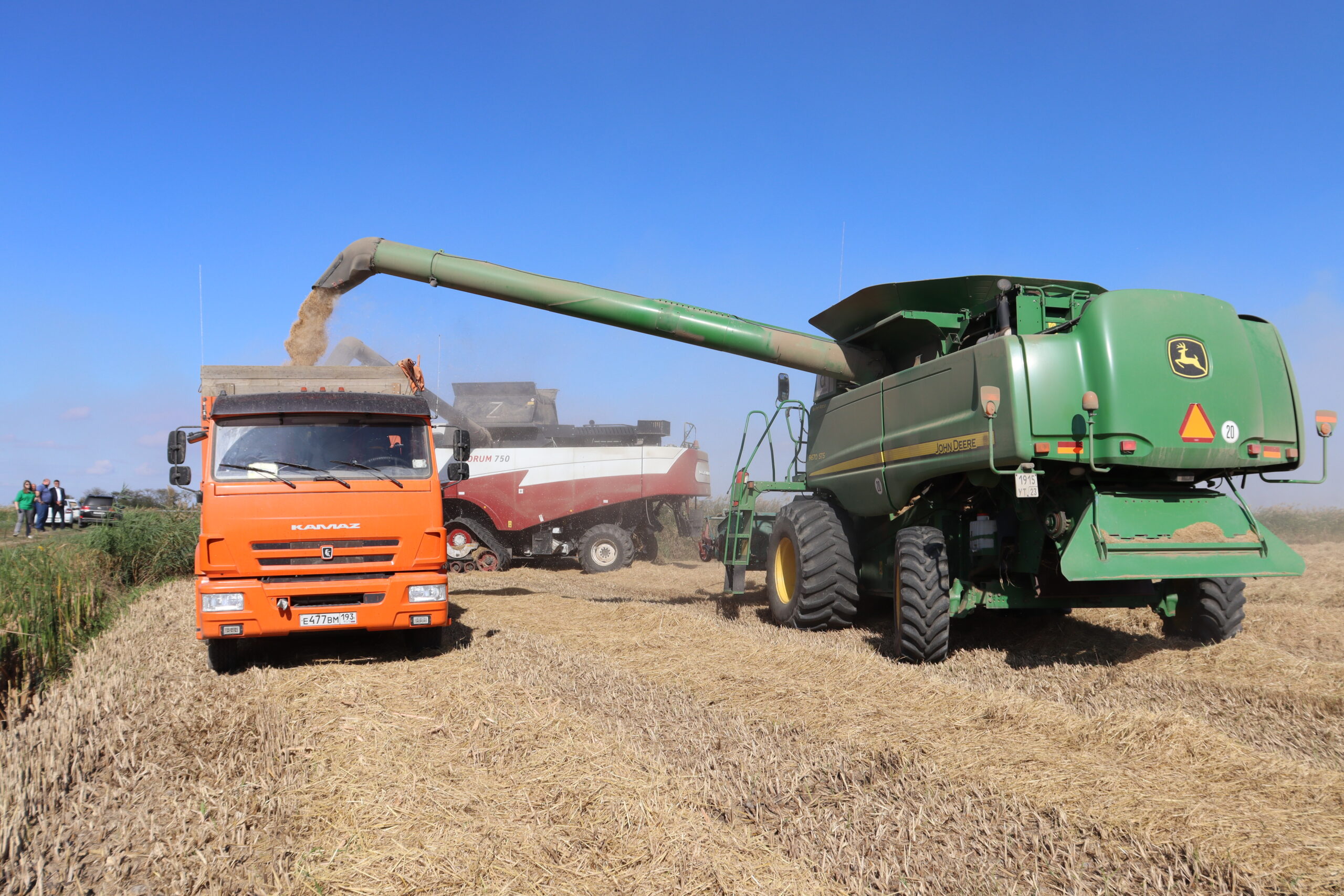 Уборка риса в Красноармейском районе набирает темп