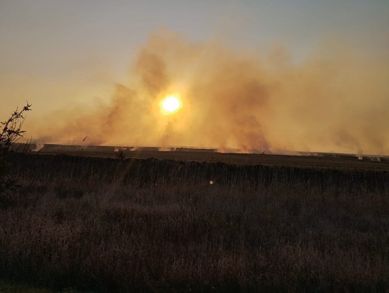 Кубанские ученые нашли альтернативный метод утилизации рисовой соломы, который исключает ее сжигание