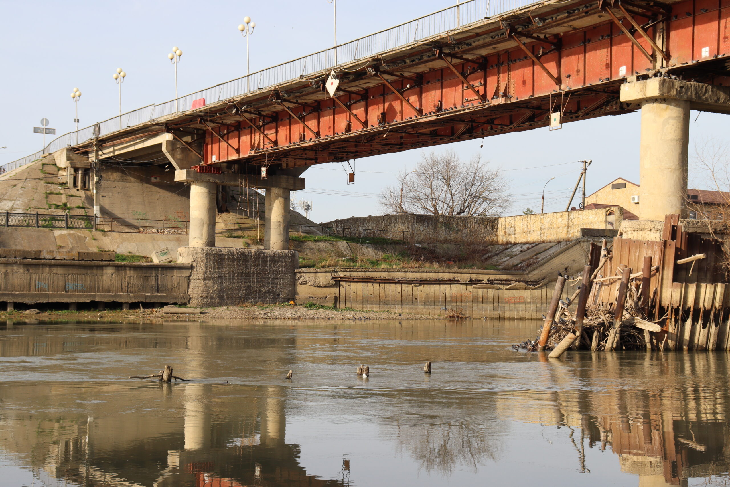 На Протоке «растут» острова, разрушаются берега, а в некоторых местах на реке образовались заторы из упавших деревьев 