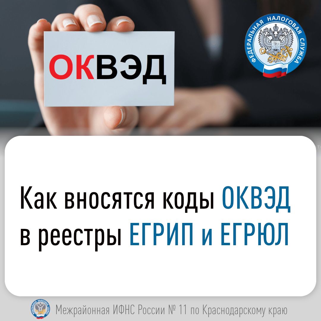 Межрайонная ИФНС №1 по Краснодарскому краю напомнила о новых правилах отражения кодов ОКВЭД