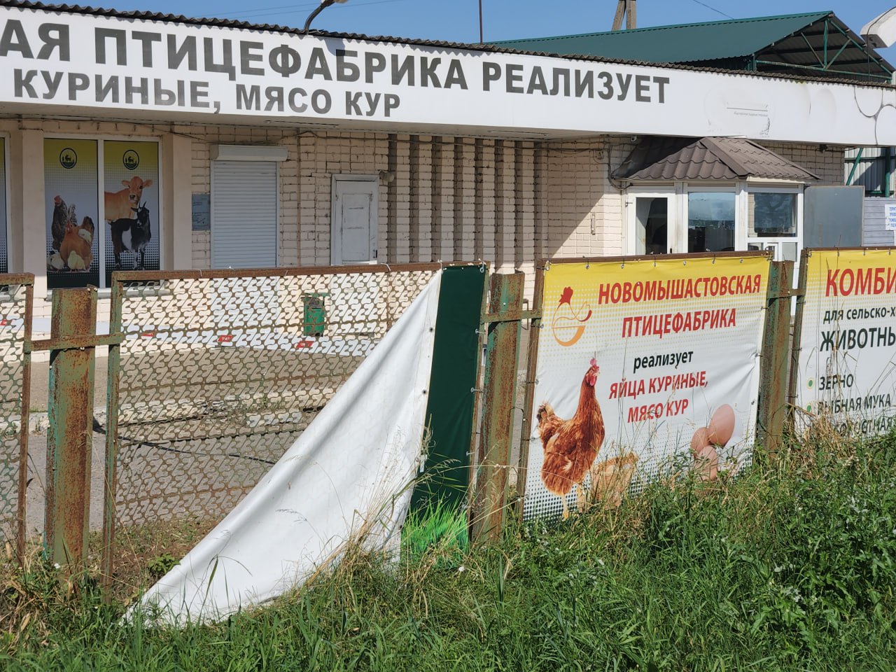 На птицефабрике в Новомышастовской долги по зарплате превысили 14 млн рублей