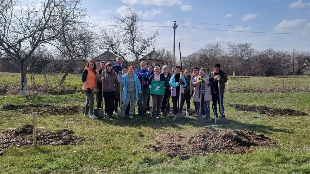 В Старонижестеблиевской неизвестные украли два платана, высаженные в память о погибших в годы войны