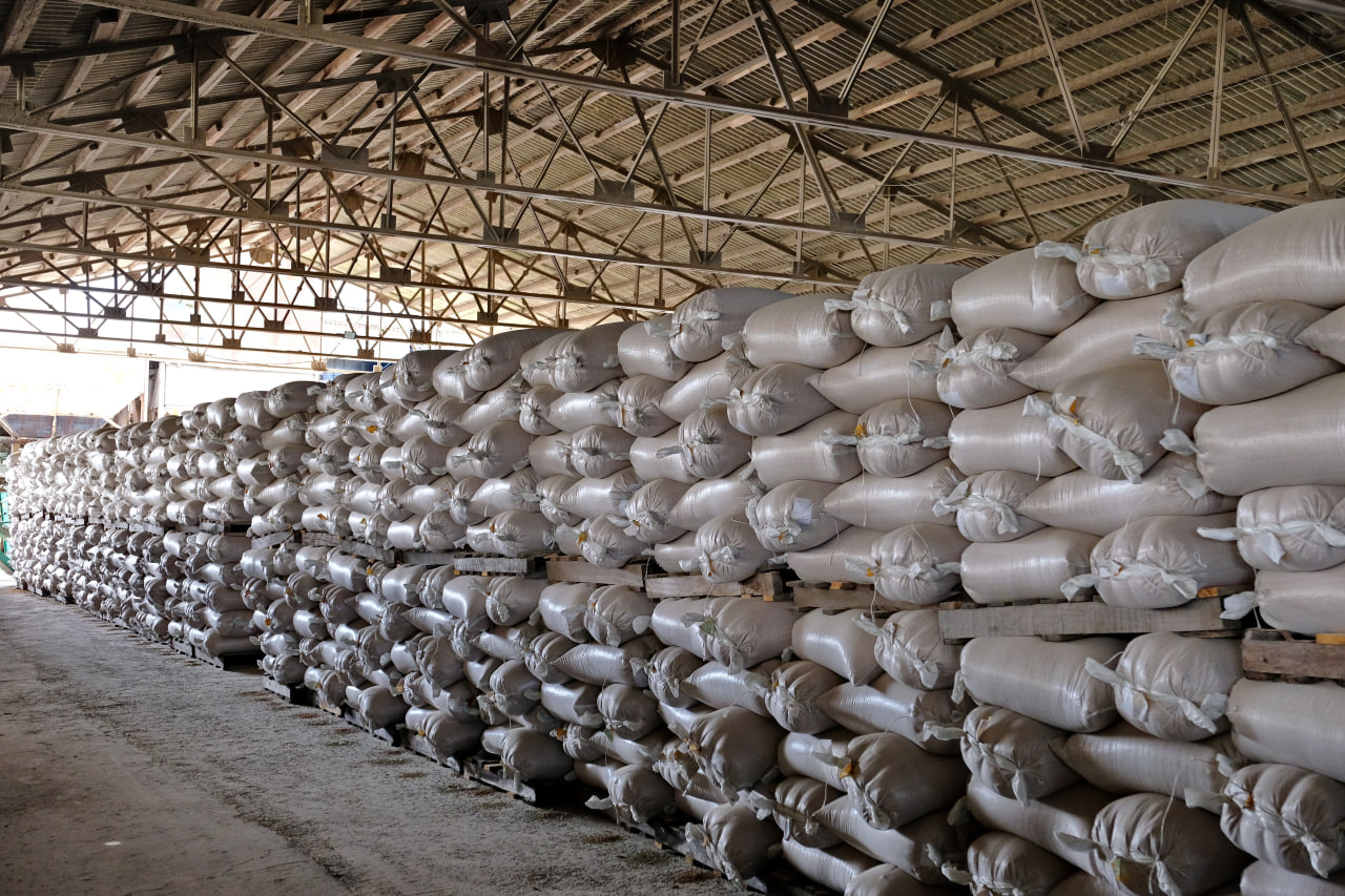 В Красноармейском районе из-за падения цен и перепроизводства могут сократить посевы риса