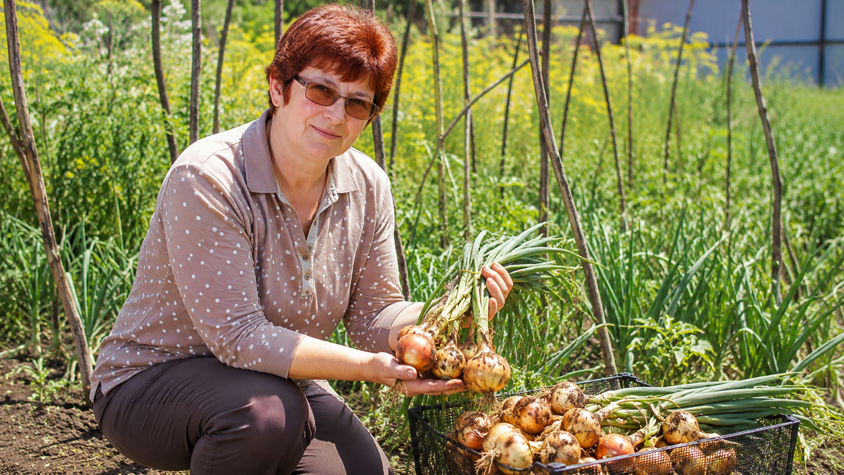Лук любит зиму: почему кубанская огородница сажает его осенью
